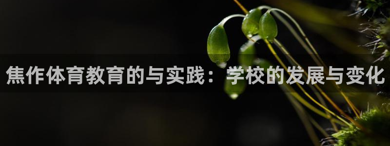 尊龙官网下载娱乐