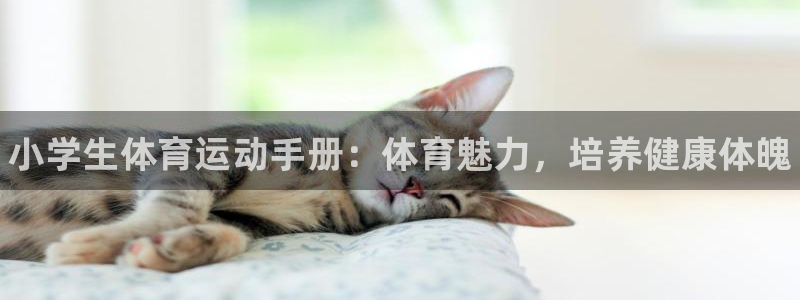 尊龙官网下载招商电话号码：小学生体育运动手册：体育魅