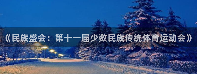 尊龙官网下载招商电话地址是多少：《民族盛会：第十一届