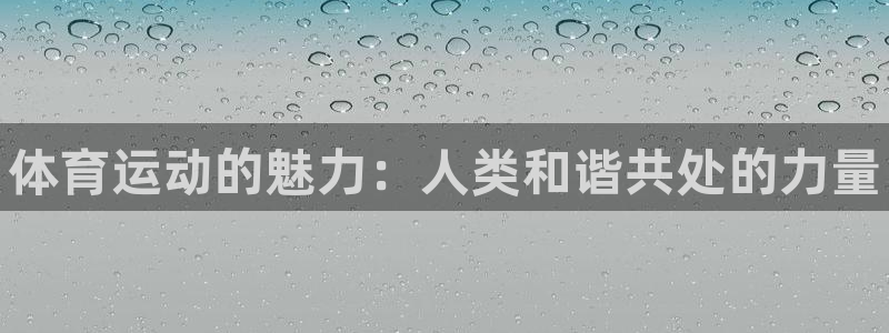 尊龙官网下载招商电话：体育运动的魅力：人类和谐共处的