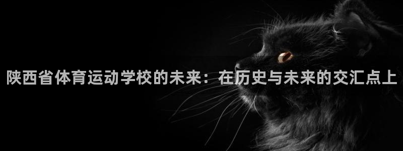 尊龙官方正版app集团logo