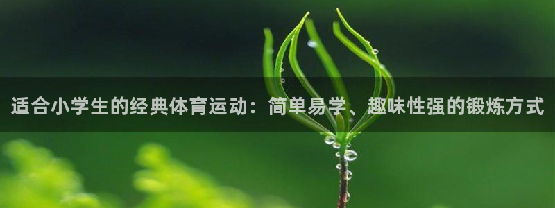 尊龙官方正版app集团官网网址：适合小学生的经典体育运动：简