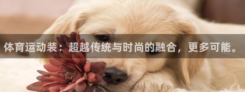 尊龙官网下载是干嘛的公司：体育运动装：超越传统与时尚的融合，