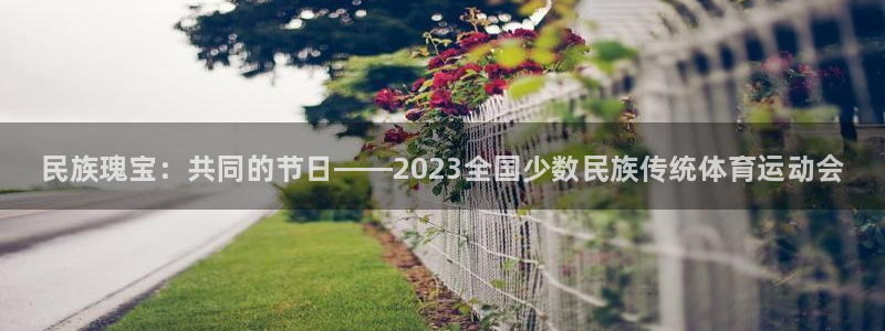 尊龙官网下载平台注册要钱吗安全吗：民族瑰宝：共同的节