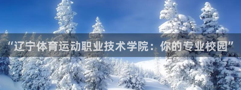尊龙官网下载平台是正规平台吗