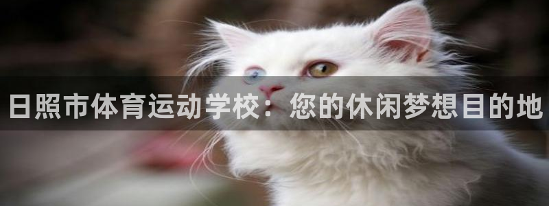 尊龙官方正版app集团官网网址：日照市体育运动学校：