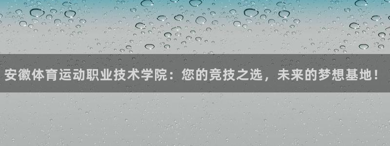 尊龙官方正版app娱乐首页网站大全：安徽体育运动职业