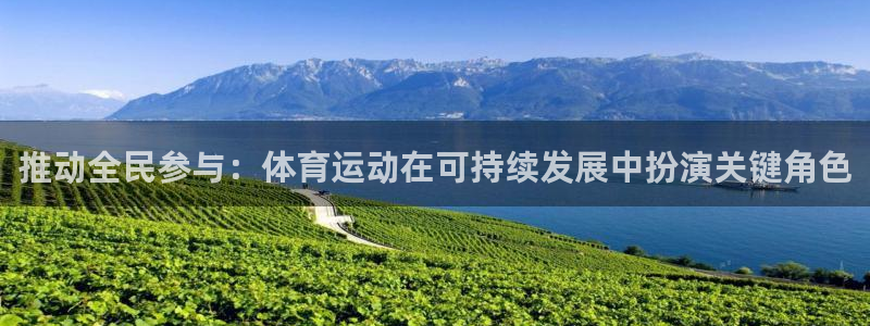 尊龙官方正版app娱乐首页官网下载：推动全民参与：体