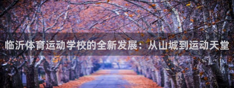 尊龙官网下载平台是正规平台吗知乎：临沂体育运动学校的