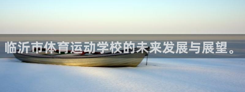 德国尊龙官方正版app集团：临沂市体育运动学校的未来