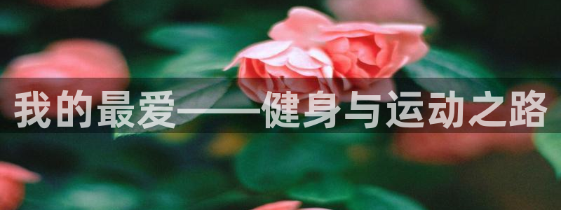 尊龙官方集团官网：我的最爱——健身与运动之路