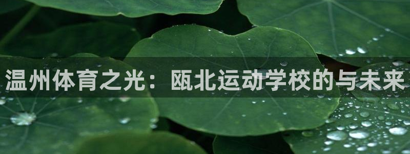 尊龙官方平台体育：温州体育之光：瓯北运动学校的与未来