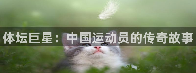 尊龙官网下载注册