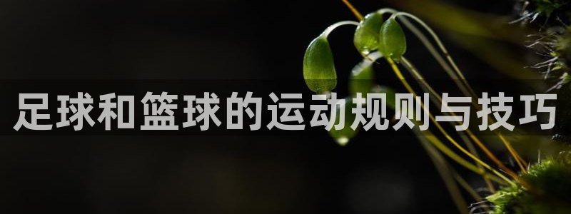 尊龙官网下载招商电话号码是多少啊：足球和篮球的运动规则与技巧