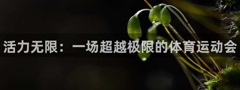 尊龙官网下载平台是正规平台吗知乎：活力无限：一场超越极限的体