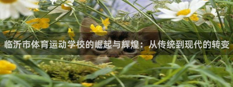 尊龙官网下载平台注册流程视频：临沂市体育运动学校的崛