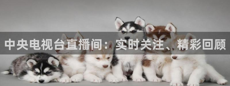 nba 直播极速体育直播吧