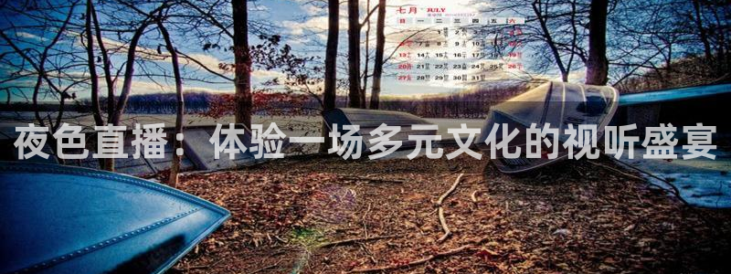 足球赛事直播吧：夜色直播：体验一场多元文化的视听盛宴