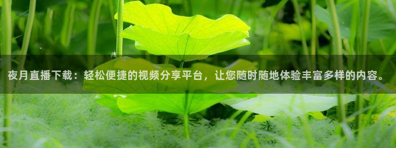 足球直播吧皇马：夜月直播下载：轻松便捷的视频分享平台，让您随时随地体验丰富多样的内容。