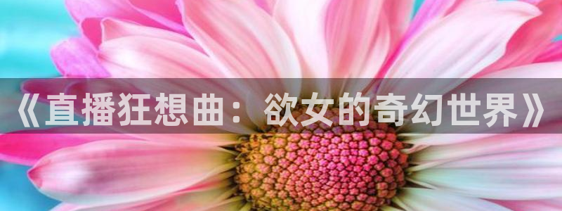 24小时足球直播吧：《直播狂想曲：欲女的奇幻世界》